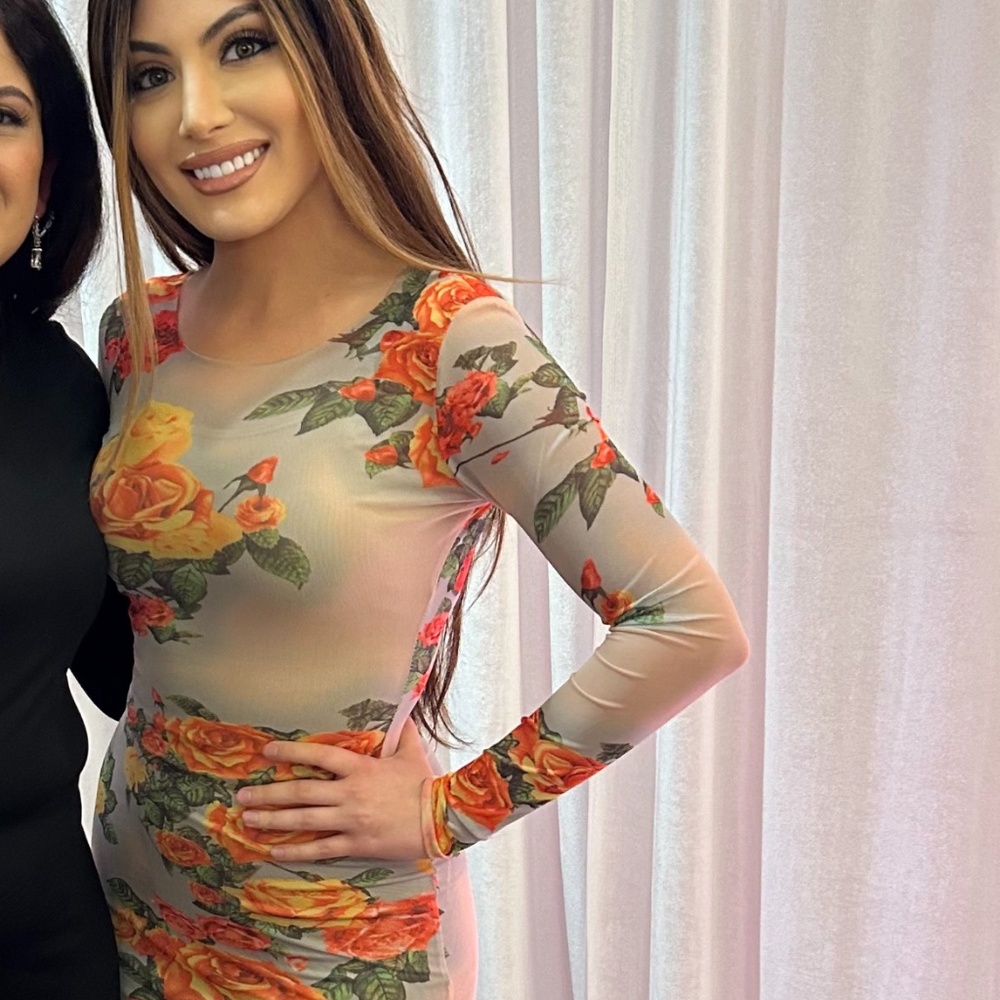 Sheer Ankle Length Dress